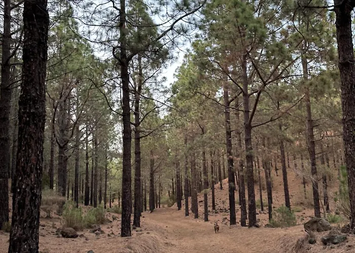 Zulia Suites, Masca, Teide, Gigantes, Excursions, Ac, Wifi-4 * Сантъяго-дель-Тейде