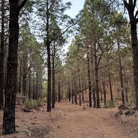 Zulia Suites, Masca, Teide, Gigantes, Excursions, Ac, Wifi-4 * Santiago del Teide